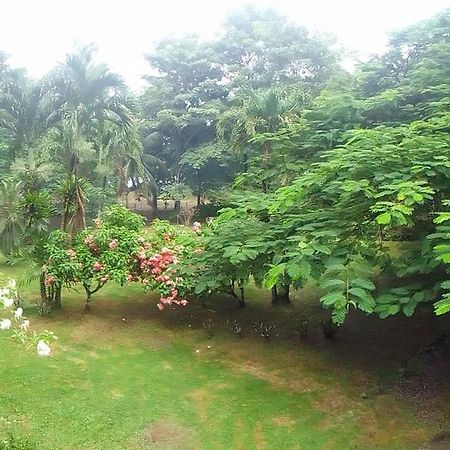 Hotel Ceiba Bonga Acandí Dış mekan fotoğraf