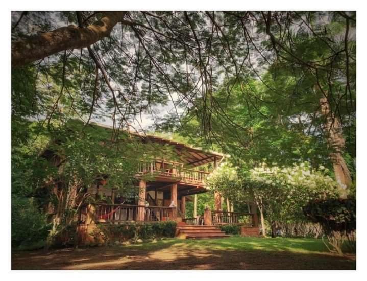 Hotel Ceiba Bonga Acandí Dış mekan fotoğraf