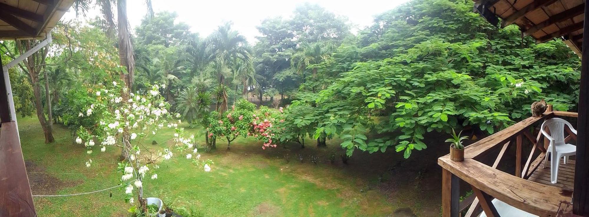 Hotel Ceiba Bonga Acandí Dış mekan fotoğraf